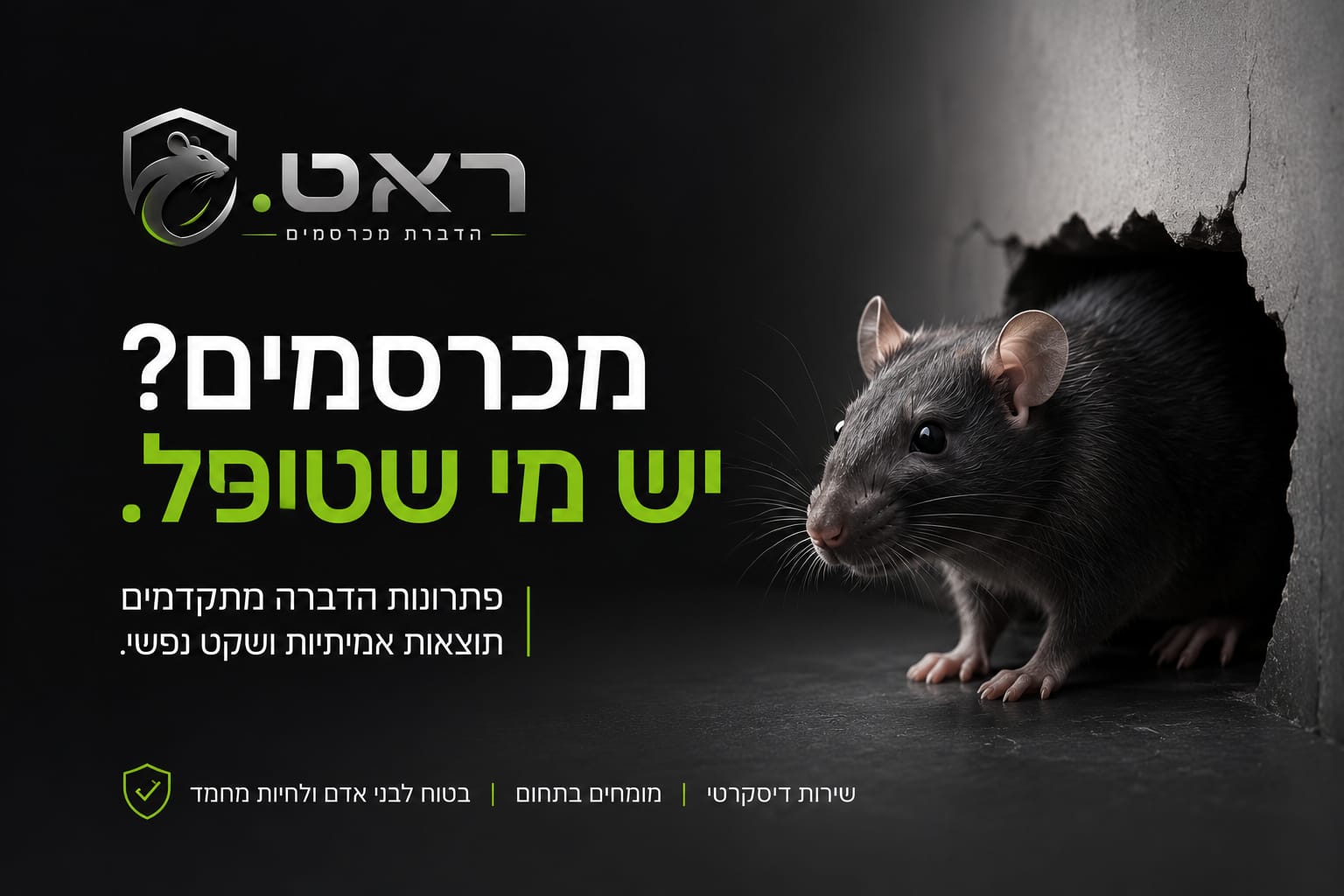 הדברת חולדות מקצועית של RAT באזור גדרה עד חדרה